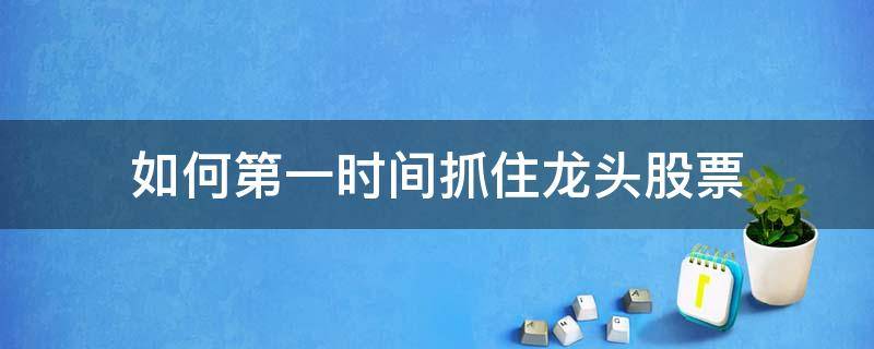 如何第一时间抓住龙头股票（怎么抓龙头股票）