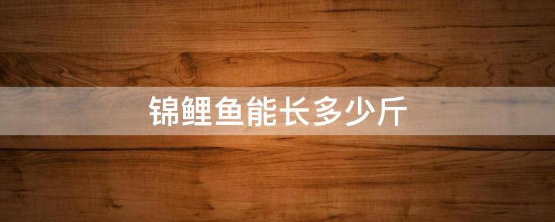 锦鲤鱼能长多少斤（锦鲤能长到一米吗）