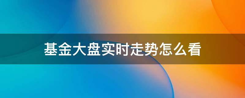 基金大盘实时走势怎么看（基金大盘实时走势图怎么看）