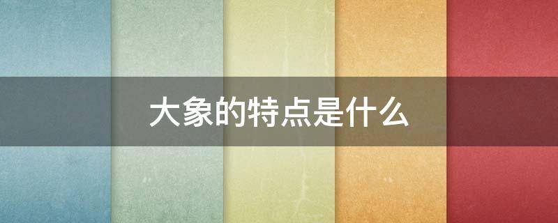 大象的特点是什么（大象的特点是什么二年级）