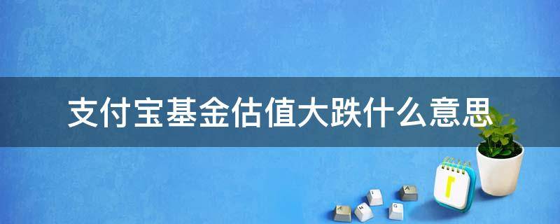 支付宝基金估值大跌什么意思（支付宝基金显示估值大涨）