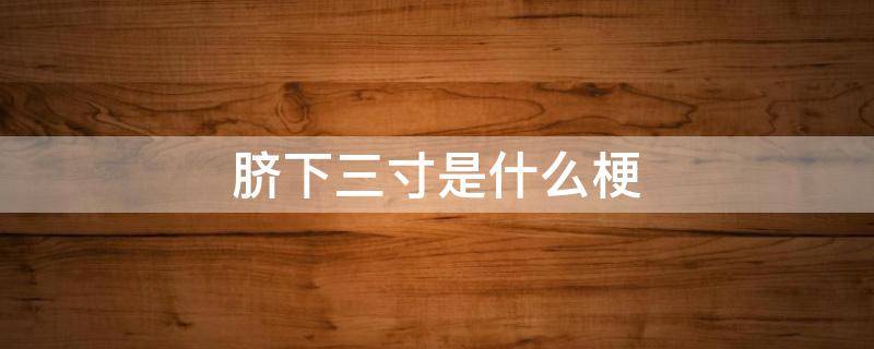 脐下三寸是什么梗