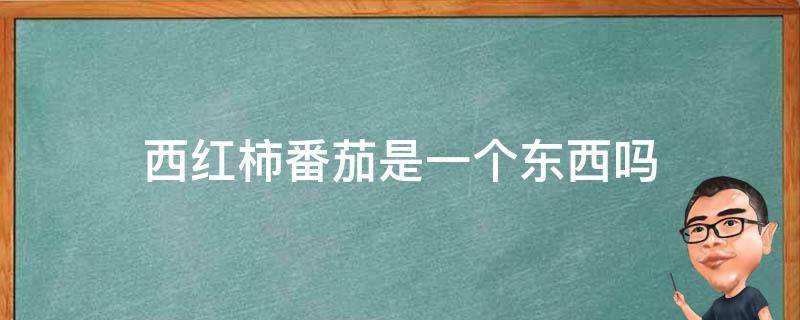 西红柿番茄是一个东西吗 西红柿番茄有什么区别