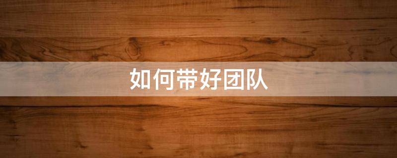 如何带好团队 如何带好团队,做一个优秀的领导者