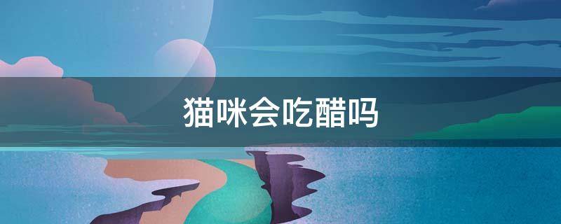 猫咪会吃醋吗 猫咪会吃醋吗真的假的