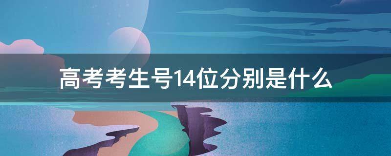 高考考生号14位分别是什么（山西高考考生号14位分别是什么）