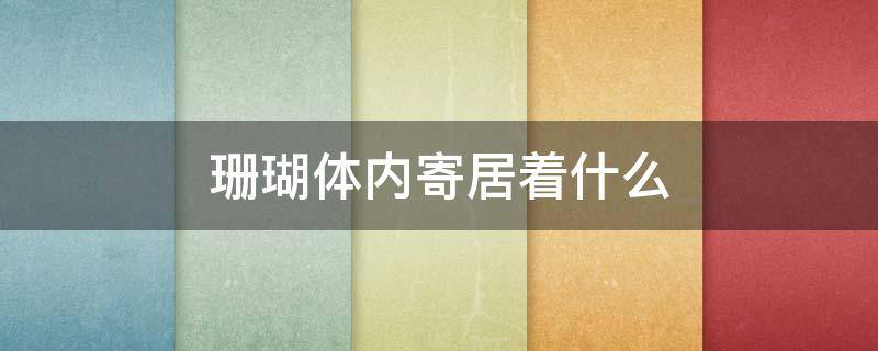 珊瑚体内寄居着什么 珊瑚体内寄居着什么植物