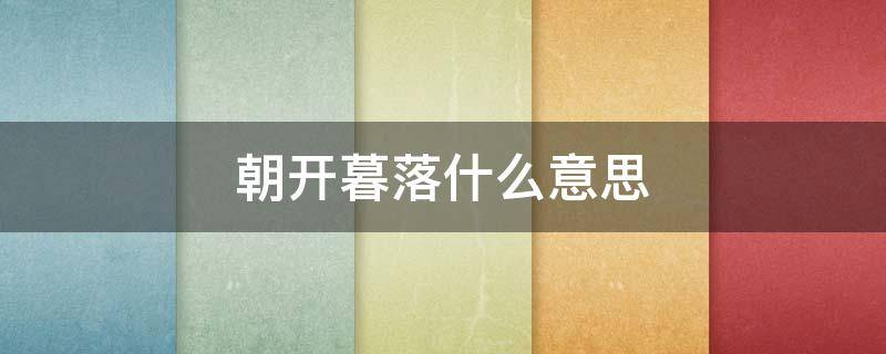 朝开暮落什么意思（朝开暮落的拼音）