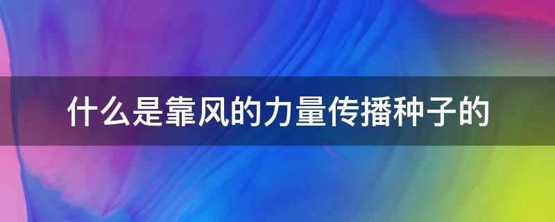 什么是靠风的力量传播种子的 什么是靠风的力量来传播种子的