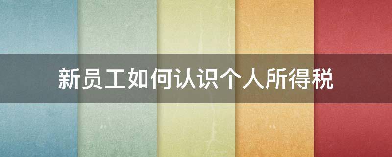 新员工如何认识个人所得税（新员工个人所得税怎么填写）