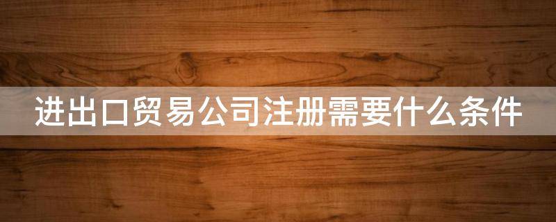 进出口贸易公司注册需要什么条件（进出口贸易公司注册需要什么条件广州进出口贸易蓝学乾）