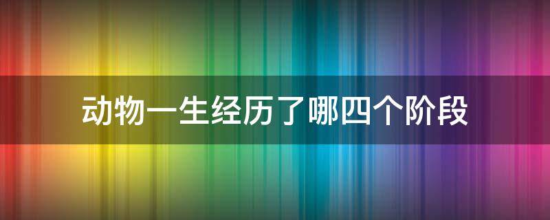 动物一生经历了哪四个阶段 动物一生经历了哪四个阶段价段
