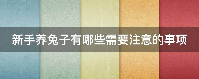 新手养兔子有哪些需要注意的事项（新手养兔子有哪些需要注意的事项和细节）
