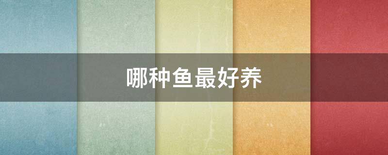 哪种鱼最好养（哪种鱼最好养不容易死）
