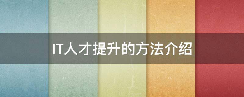 IT人才提升的方法介绍 it人才的培养与管理论文