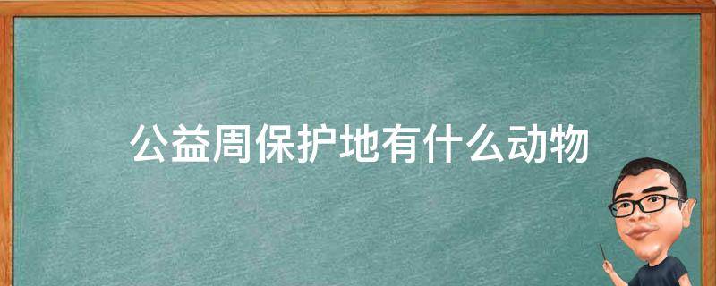 公益周保护地有什么动物 公益保护动物海报