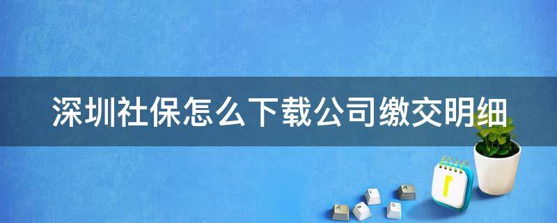 深圳社保怎么下载公司缴交明细（深圳单位社保缴费凭证）