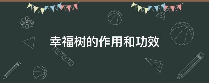 幸福树的作用和功效 幸福树放客厅大忌