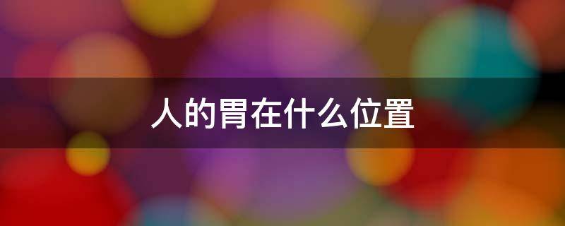 人的胃在什么位置（人的胃在什么位置? 左边）