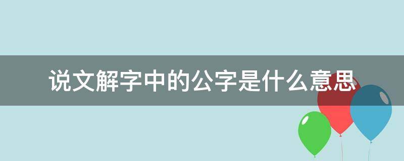 说文解字中的公字是什么意思（说文解字中的公字是什么意思啊）