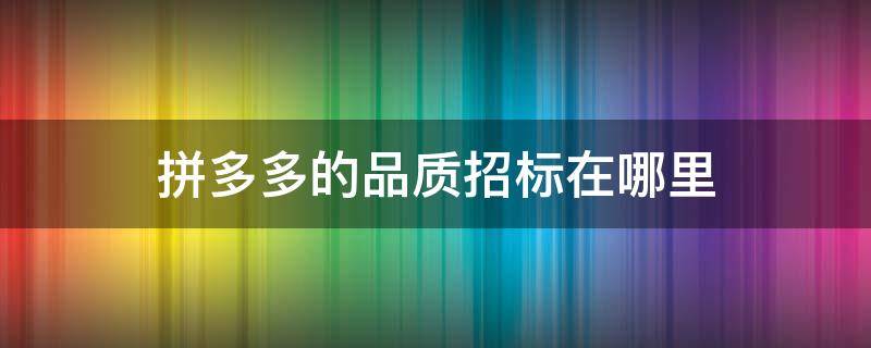 拼多多的品质招标在哪里（拼多多平台招标怎么玩）