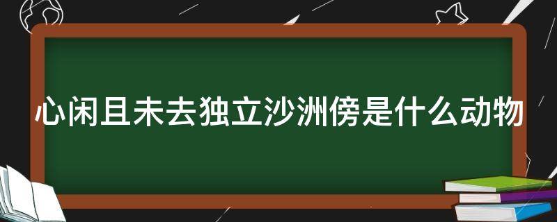 心闲且未去独立沙洲傍是什么动物（心闲且未去独立沙洲傍的意思）