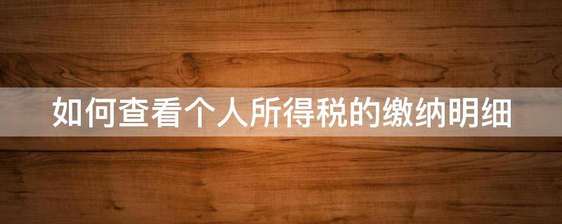 如何查看个人所得税的缴纳明细（如何查看个人所得税的缴纳明细表）