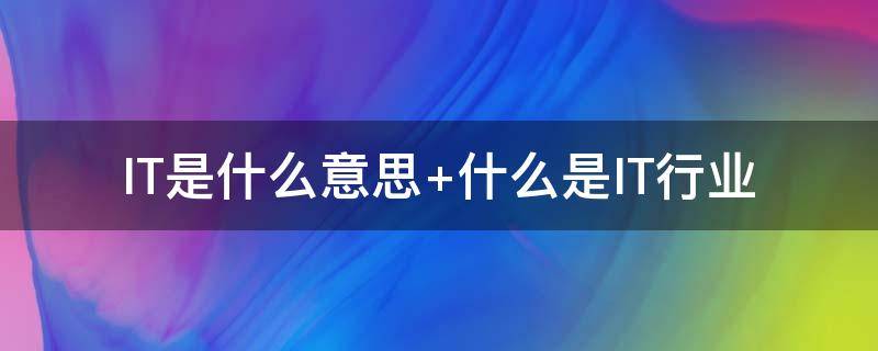 IT是什么意思 is是什么意思