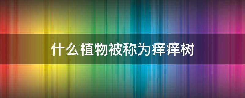 什么植物被称为痒痒树（什么植物被称为痒痒树啊）