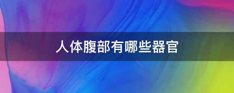 人体腹部有哪些器官（人体腹部都有哪些器官）