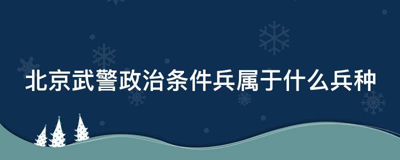 北京武警政治条件兵属于什么兵种 北京武警政治兵算不算好的兵种