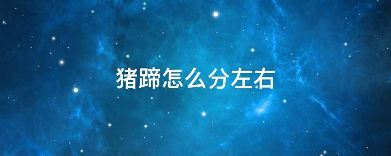 猪蹄怎么分左右 猪蹄怎么分左右手