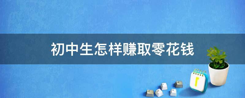初中生怎样赚取零花钱（初中生赚钱零花钱方法）