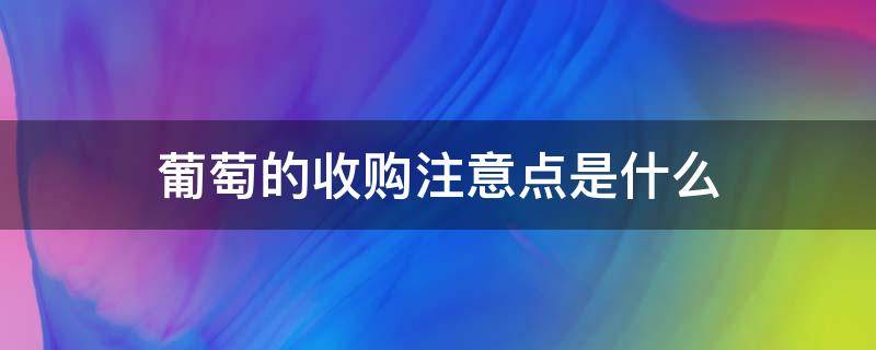 葡萄的收购注意点是什么 葡萄采收后怎么管理