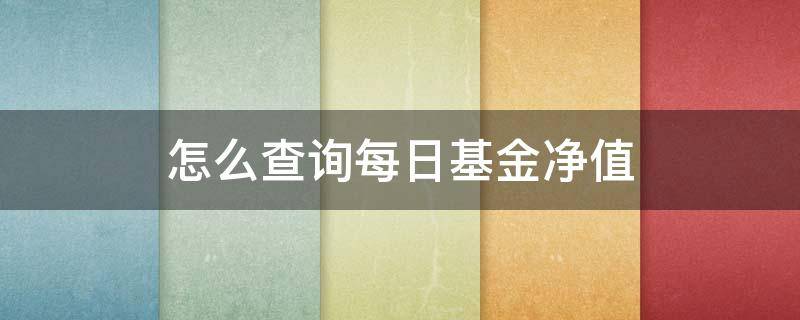 怎么查询每日基金净值（怎么看每日基金净值）