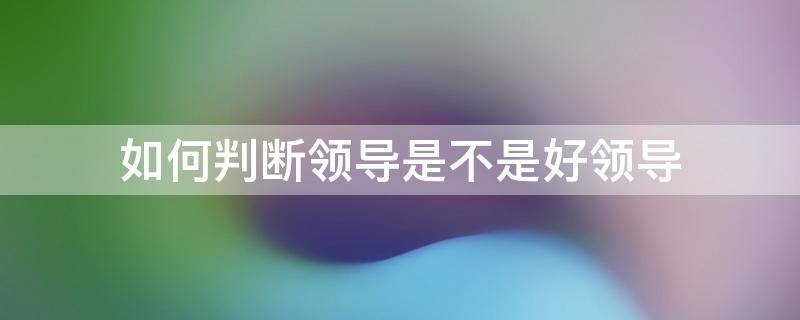 如何判断领导是不是好领导 怎么判断一个领导好不好