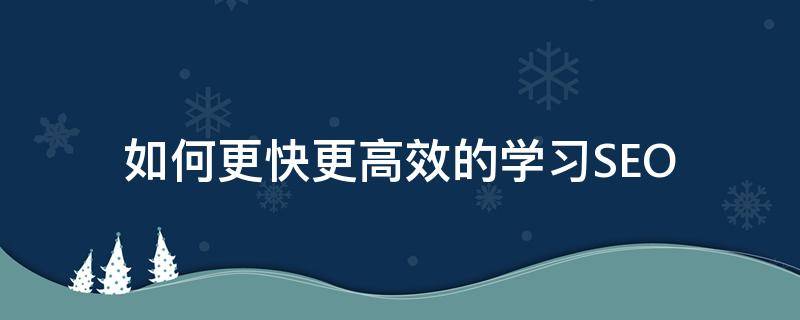 如何更快更高效的学习SEO（快速seo教程技术）