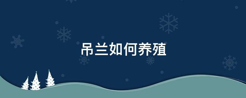 吊兰如何养殖（吊兰如何养殖方法）