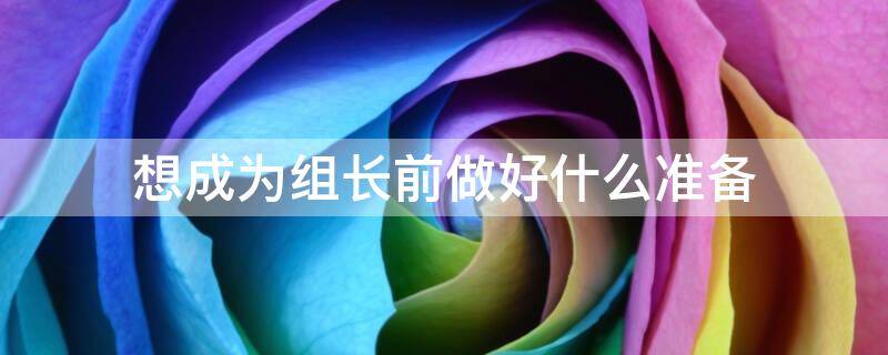 想成为组长前做好什么准备（想当组长）
