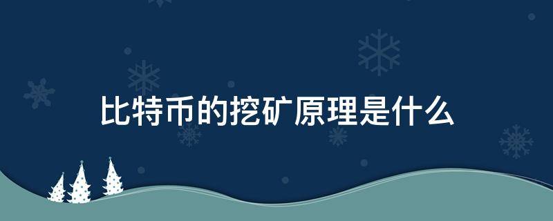 比特币的挖矿原理是什么（比特币挖矿原理 通俗）