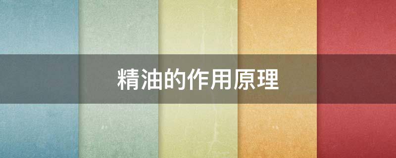 精油的作用原理 精油的作用原理是什么