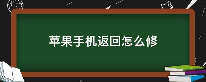 苹果手机返回怎么修（苹果手机返回怎么修改密码）