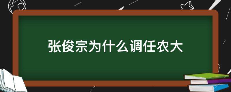 张俊宗为什么调任农大（张俊宗为什么调任农大副校长）