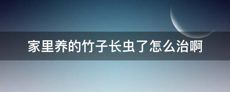家里养的竹子长虫了怎么治啊 家里养的竹子长虫了怎么治啊图片