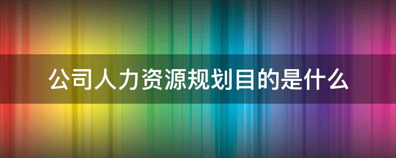 公司人力资源规划目的是什么（公司人力资源规划的制定）