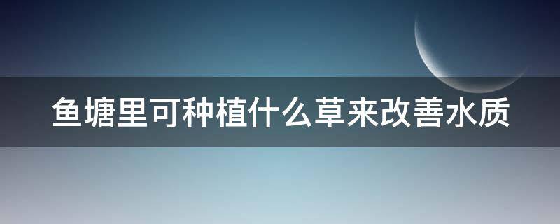 鱼塘里可种植什么草来改善水质（鱼塘种什么草净化水质）
