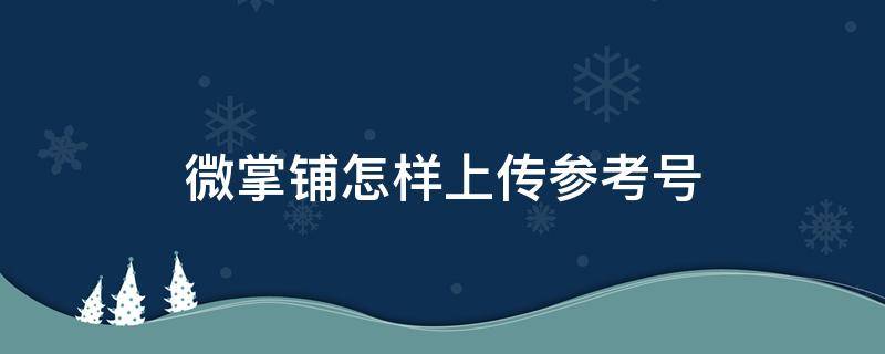 微掌铺怎样上传参考号（微掌铺注册流程）