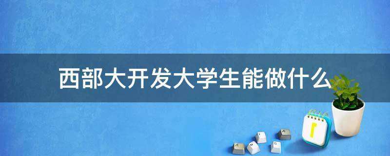 西部大开发大学生能做什么（西部大开发大学生能做什么项目）