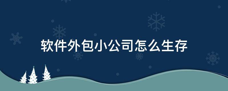 软件外包小公司怎么生存（软件外包小公司怎么生存起来）