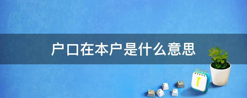 户口在本户是什么意思 户口在本户的人数是什么意思